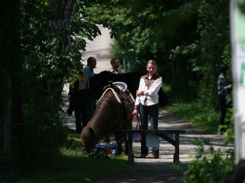 Hoschkara 2011 01