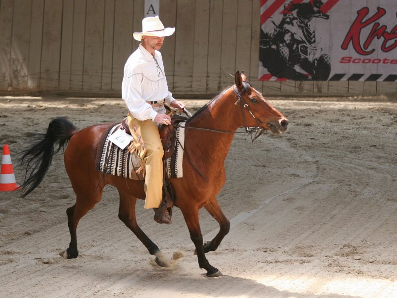 Hoschkara 2011 24