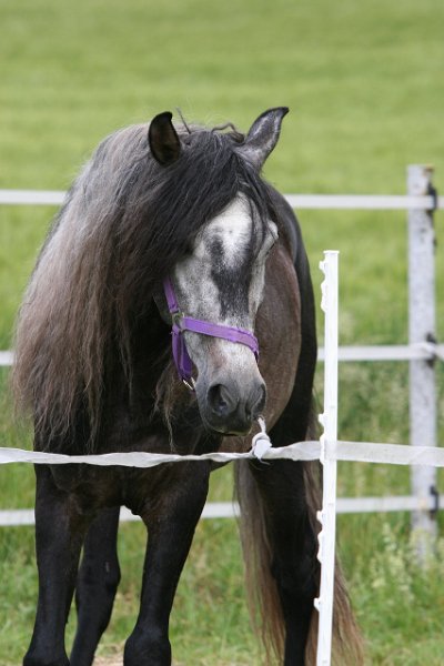 20110528 Zwergencup 0003