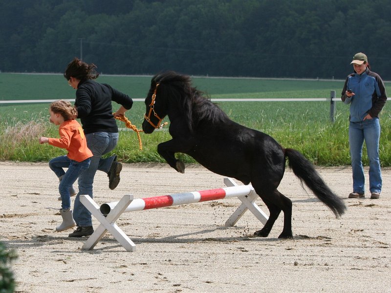 20110528 Zwergencup 0018