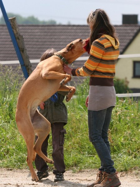 20110528 Zwergencup 0020