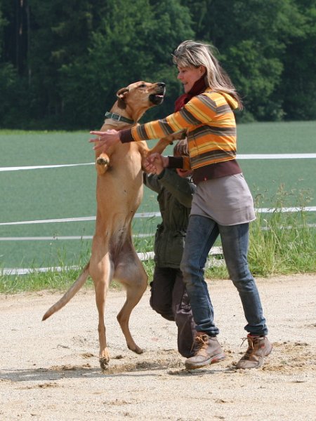 20110528 Zwergencup 0023