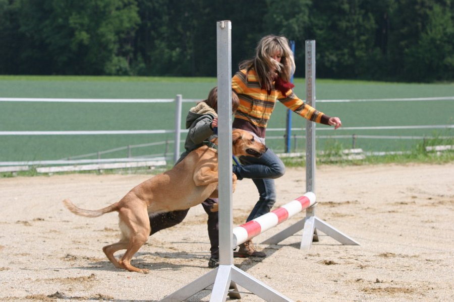 20110528 Zwergencup 0024