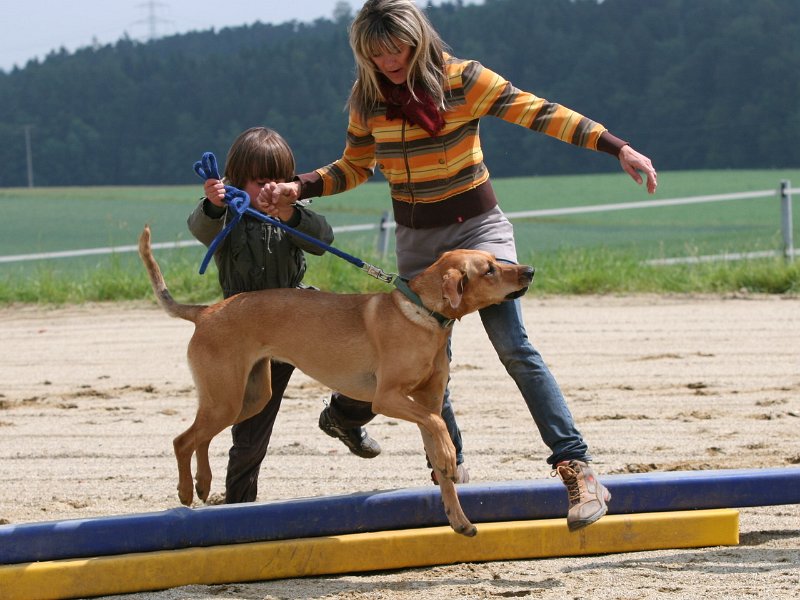 20110528 Zwergencup 0025