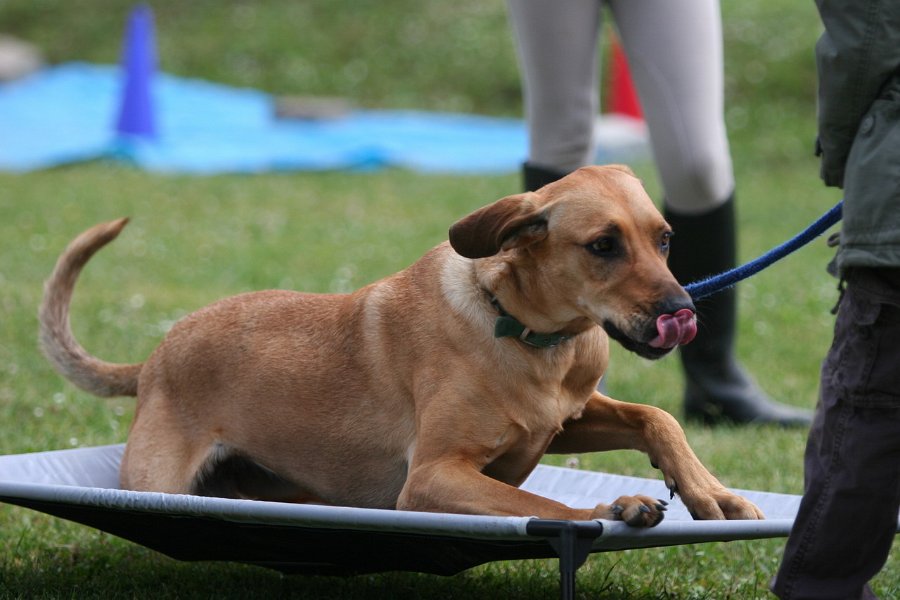 20110528 Zwergencup 0032