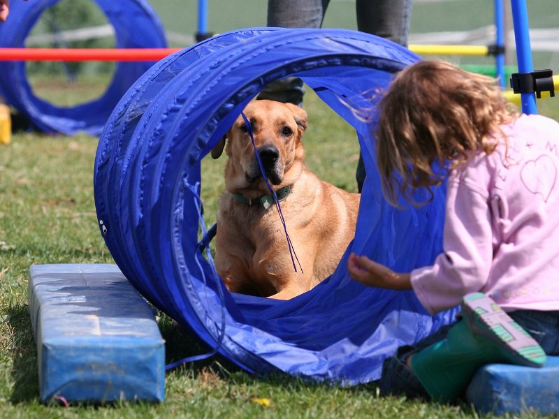 20110528 Zwergencup 0040