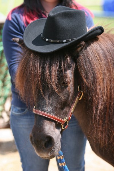 20110528 Zwergencup 0043