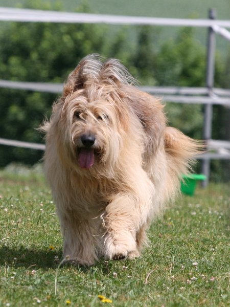 20110528 Zwergencup 0047