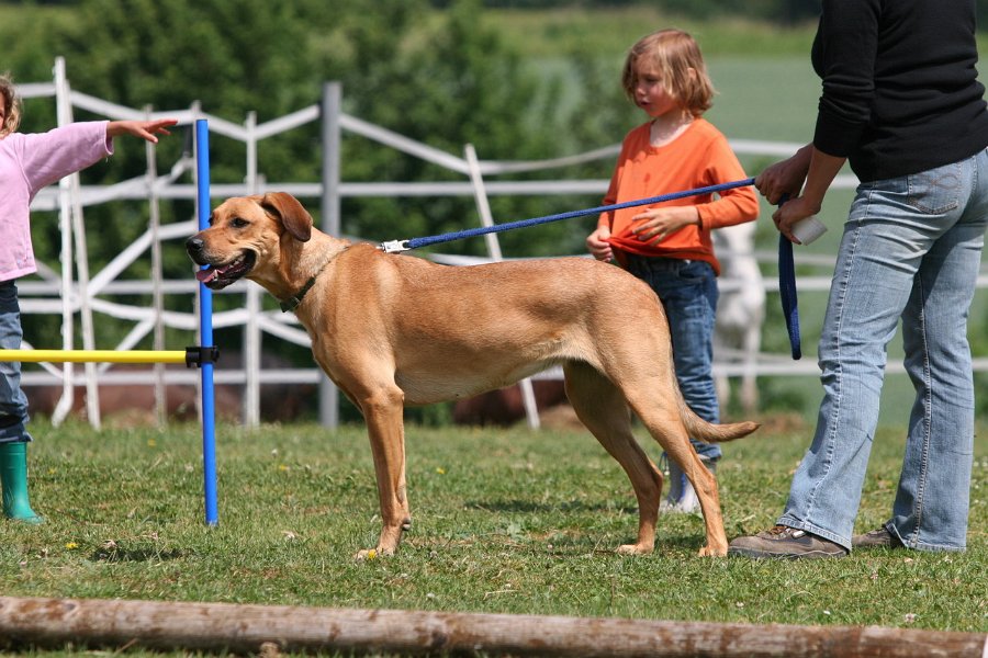 20110528 Zwergencup 0054