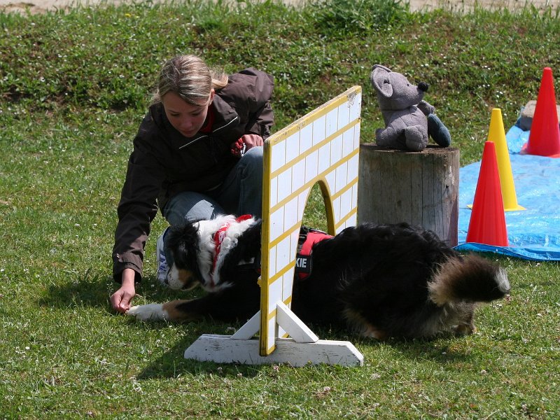 20110528 Zwergencup 0069