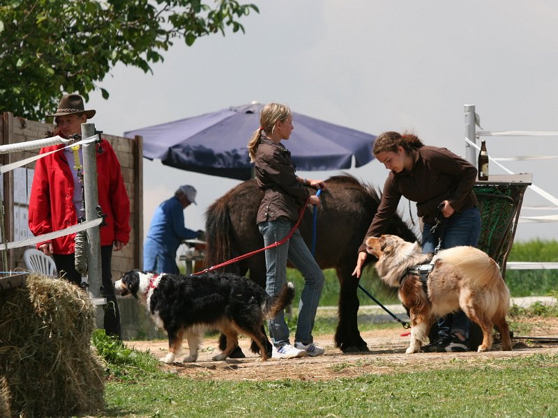 20110528 Zwergencup 0080