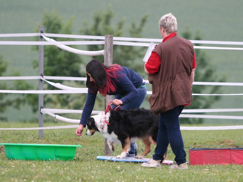 20110528 Zwergencup 0096