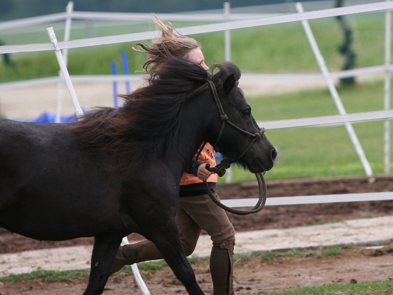 20110528 Zwergencup 0097