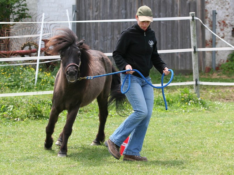 20110528 Zwergencup 0115