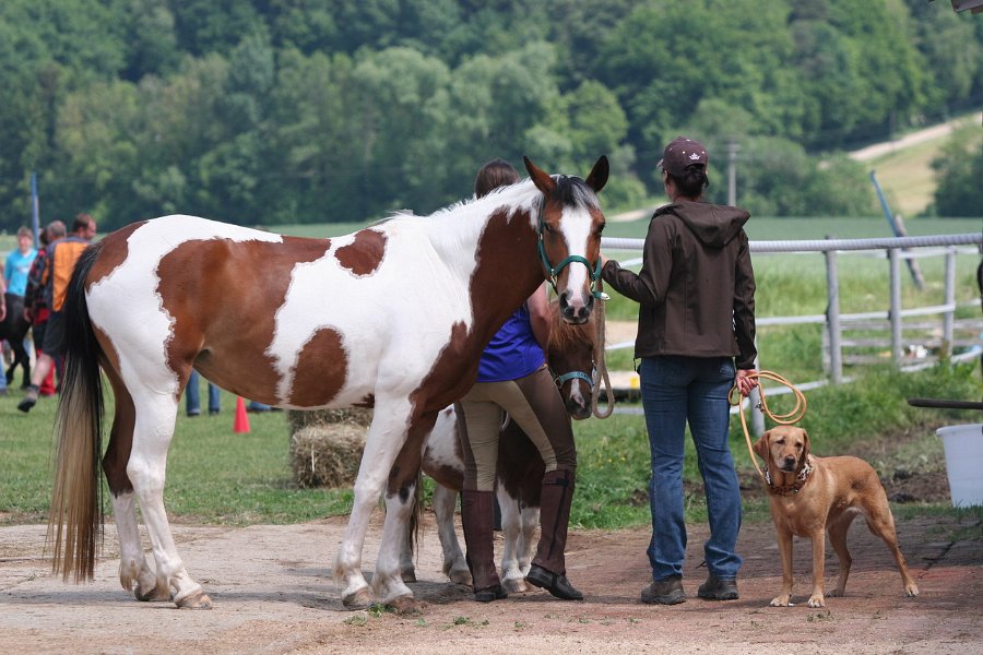 20110528 Zwergencup 0122