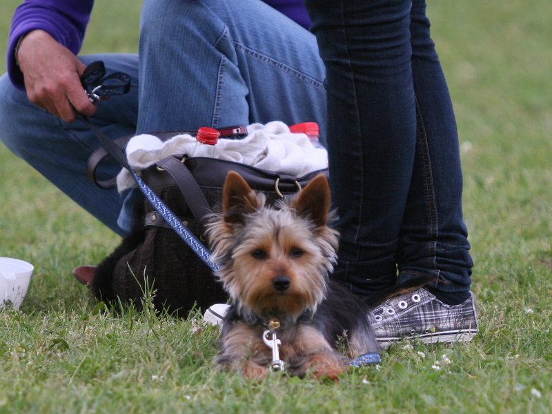 20110528 Zwergencup 0128