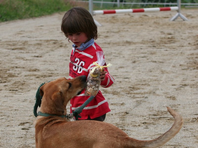 20110528 Zwergencup 0136