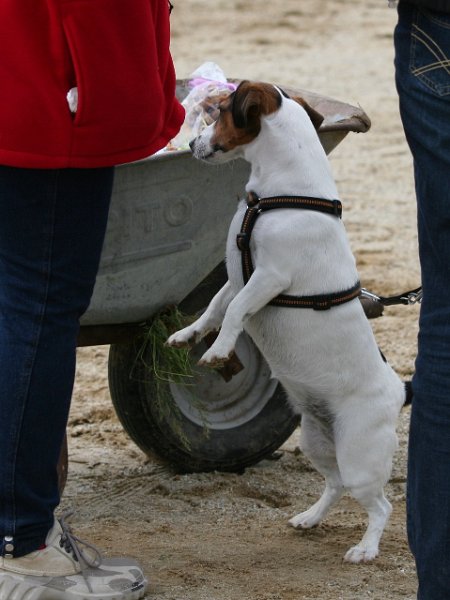 20110528 Zwergencup 0137