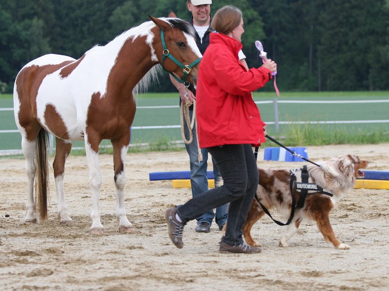 20110528 Zwergencup 0148