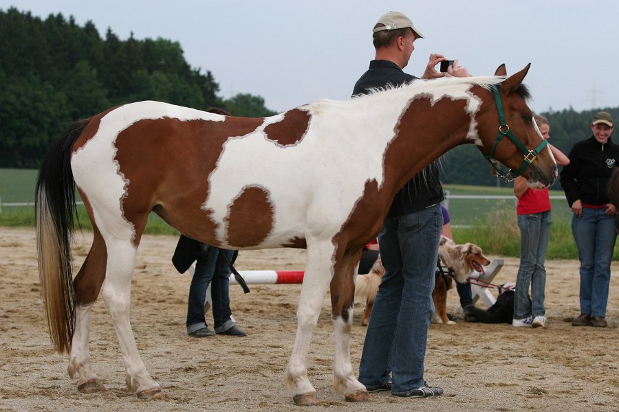 20110528 Zwergencup 0150