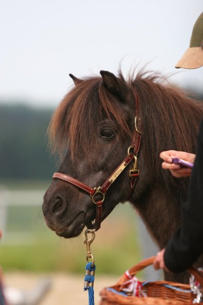 20110528 Zwergencup 0167
