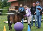 20110528 Zwergencup 0005