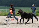 20110528 Zwergencup 0017