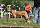 20110528 Zwergencup 0054