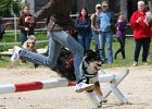 20110528 Zwergencup 0059