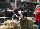 20110528 Zwergencup 0067