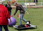 20110528 Zwergencup 0068