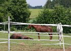 20110528 Zwergencup 0071