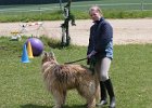 20110528 Zwergencup 0075