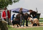 20110528 Zwergencup 0080