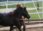 20110528 Zwergencup 0097