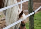20110528 Zwergencup 0098