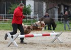 20110528 Zwergencup 0102