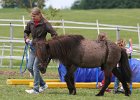 20110528 Zwergencup 0108
