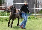 20110528 Zwergencup 0115