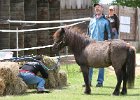 20110528 Zwergencup 0116