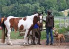 20110528 Zwergencup 0122