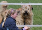20110528 Zwergencup 0123