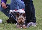 20110528 Zwergencup 0128