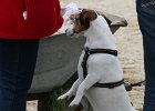20110528 Zwergencup 0137