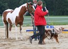 20110528 Zwergencup 0148