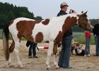 20110528 Zwergencup 0150