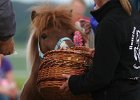 20110528 Zwergencup 0159