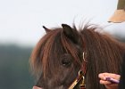 20110528 Zwergencup 0167