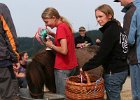 20110528 Zwergencup 0170