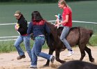 20110528 Zwergencup 0172